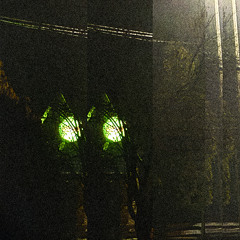 Örökké szerelmes leszek beléd Szabó Zsófi