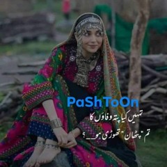Aey_Door_Nai_Wafa_Da___|__Basit_Naeemi_(Taunsa_Show_2022)_|_Basit_Naeemi_Official(128k).mp3