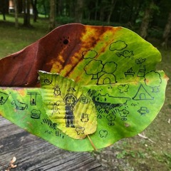 wrapped around your head