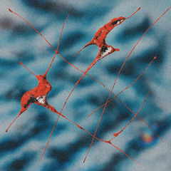 Echo State