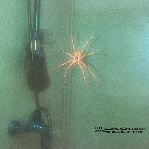 𝖕𝖗𝖊𝖒𝖎𝖊𝖗𝖊#386 📢 Dua Lity & The Boss - P.A.B. [Craquages Collectifs]