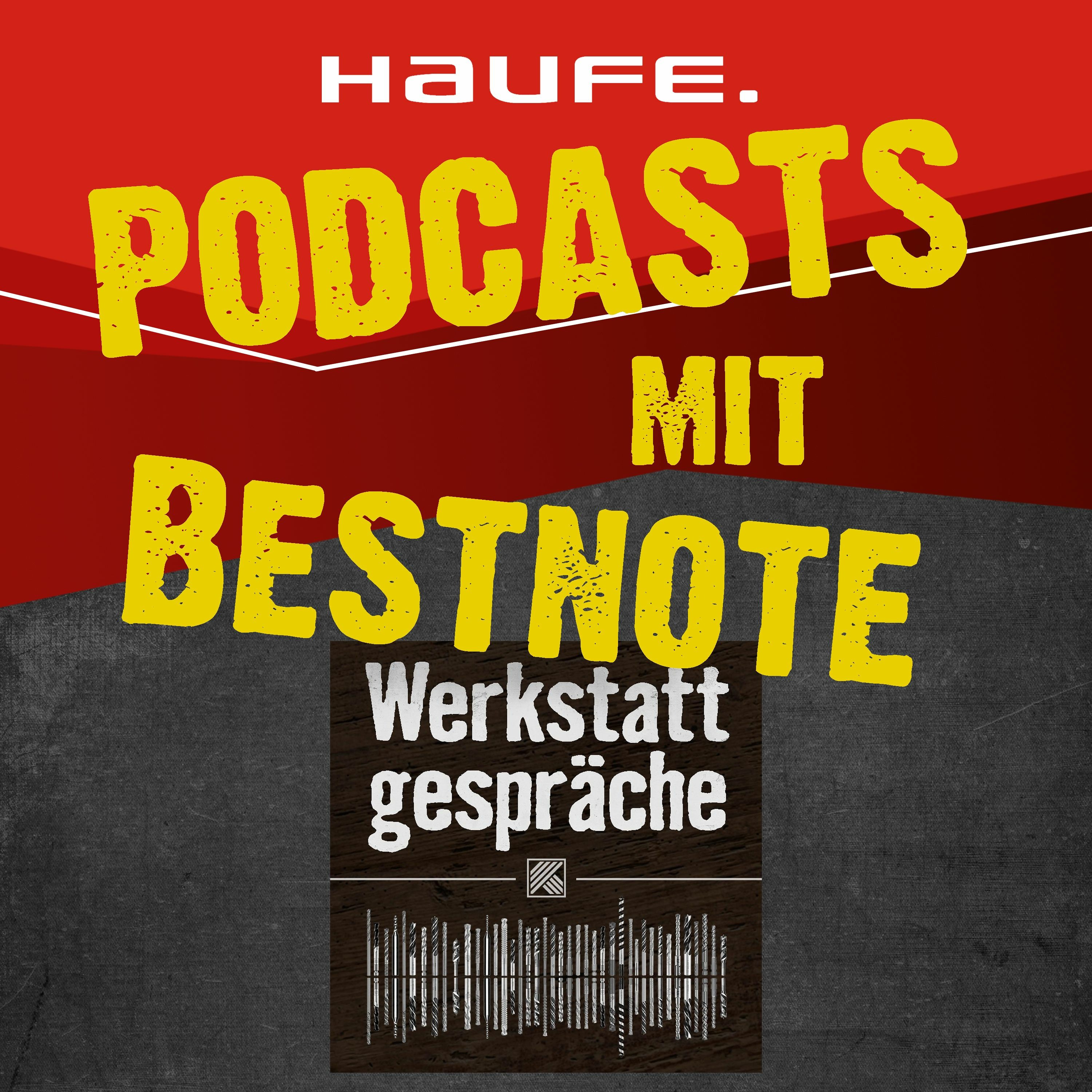 Doris Hammerschmidt - Das Podcast-Buch