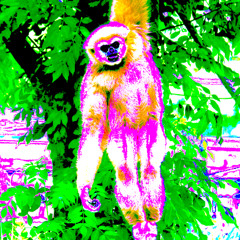 S2S Jamns 2026 - Day01