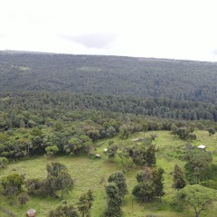 Indigenous Youth enhancing nutrition and biodiversity in fisheries and forestry