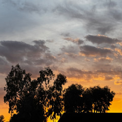 dusk till dawn