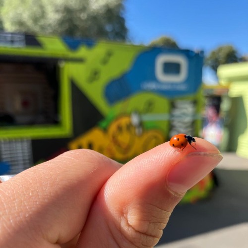 OPENSOURCE • LonnyJoco • 08-09-2024