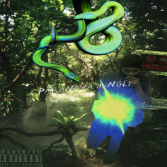 Paranoyajungle-wisskee