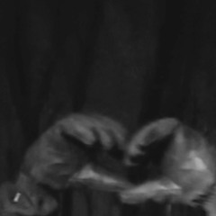 ctrl your heart intro