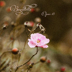 Bagatelle opus 15