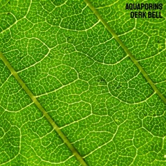 Aquaporins