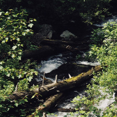 ill be there for you