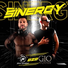 Sinergy