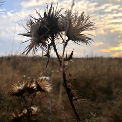 Rejection [FREE DOWNLOAD]