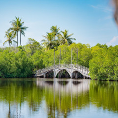 Ufaa dhey Manzilakee