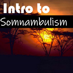 Intro To Somnambulism