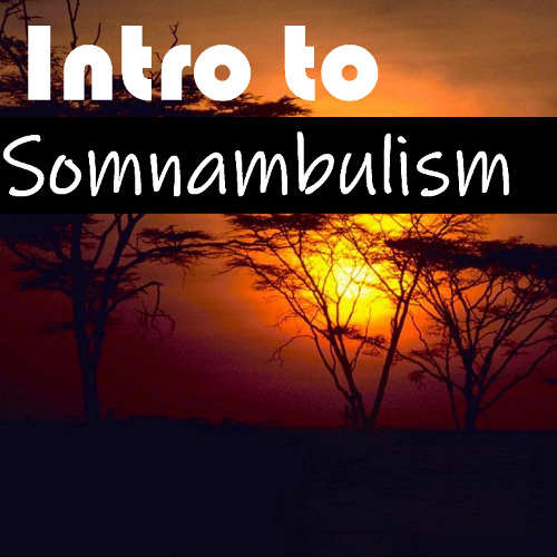 Intro To Somnambulism
