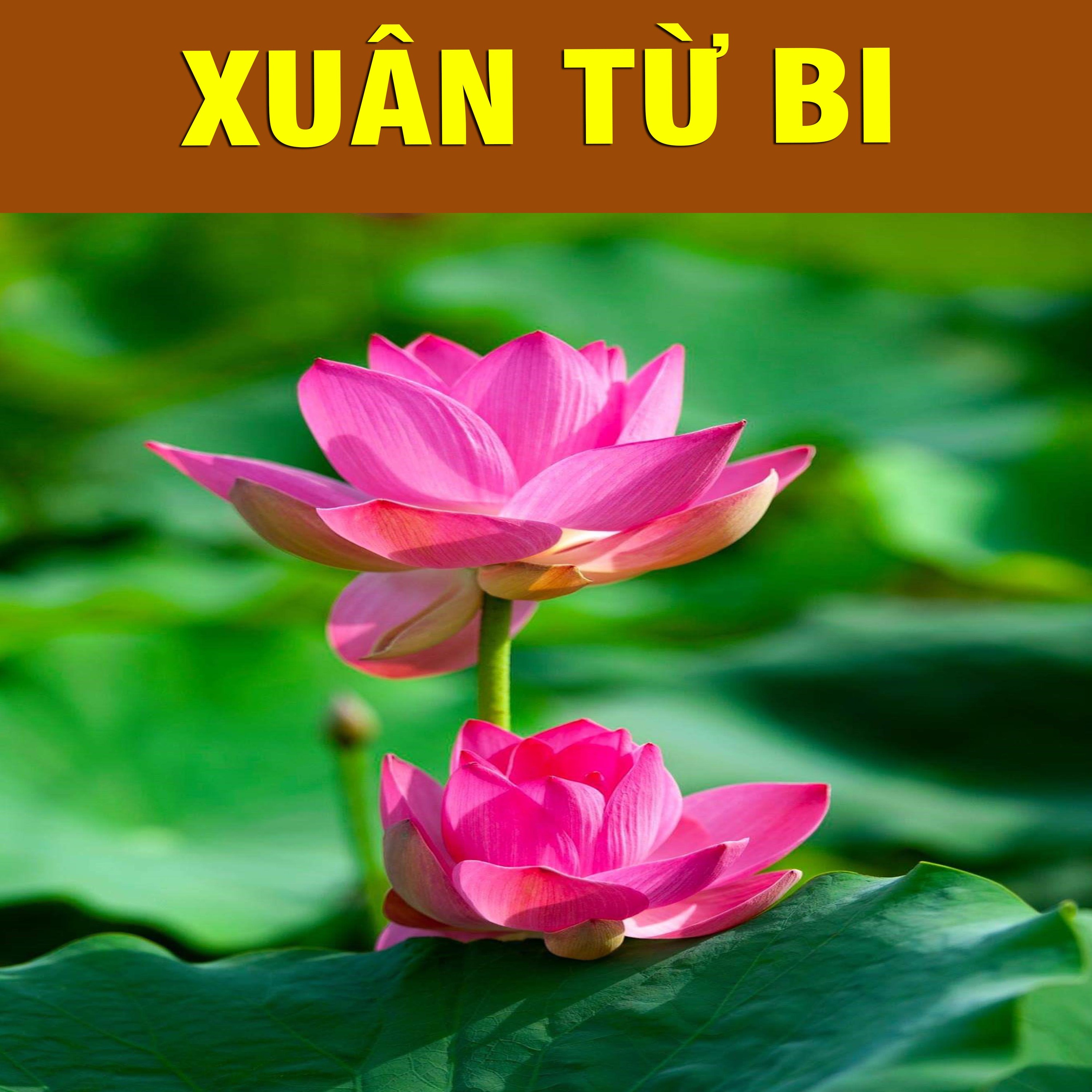 Thích Bảo Nguyên