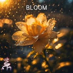 Bloom