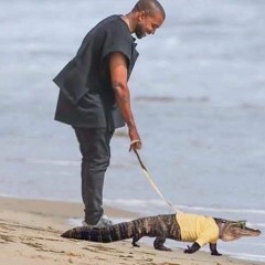 twikipedia - no child left behind cover