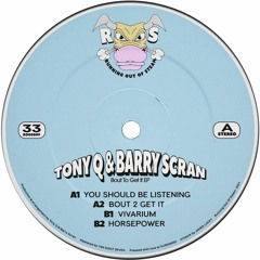 PREMIERE: Tony Q & Barry Scran - Vivarium [Running Out Of Steam]