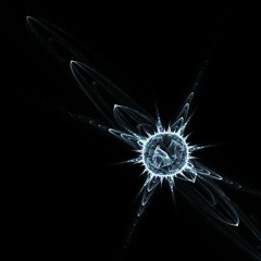 The Particle