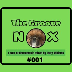 The Groove Nox #001