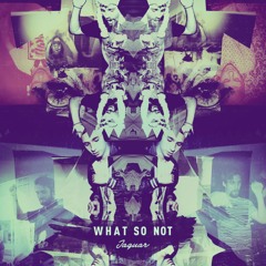 What So Not - Jaguar (KLAXX Remix)