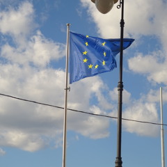 CHIÏ🌍💞🫧🐠