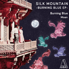 Silk Mountain - Moan (Original Mix)