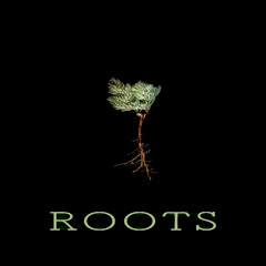Roots