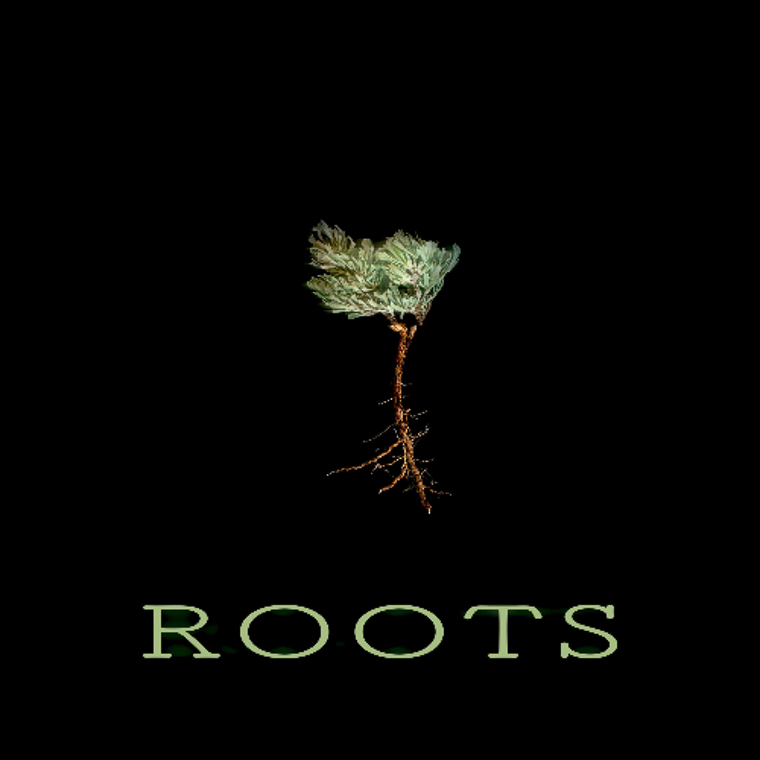 Roots episode artwork