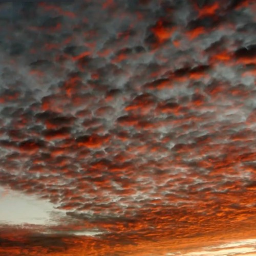 Dean Blunt - CHUCKING IT (ft. Nova Varnrable)