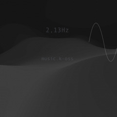 2,13Hz