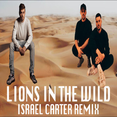 Martin Garrix & Third Party - Lions In The Wild (Israel Carter Remix)