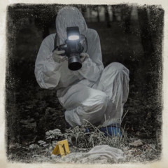 Murder Scene ft. Vellydagoat, Traapstaar.jigg (Kid Fashionn)