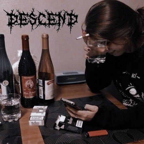 a pack of ten and a bottle of wine