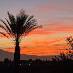 Seek Ye The Lord All Ye People-Isaiah 55-Buscad Al Señor Oh Pueblo-Isaias 55-Church in Fairfax