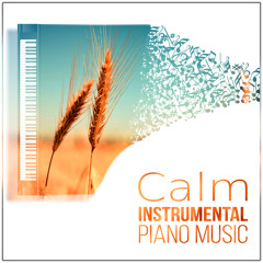 Piano Lounge (SPA Music)