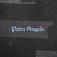 PALM ANGELS