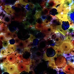 Mister Rogers - Zaheer