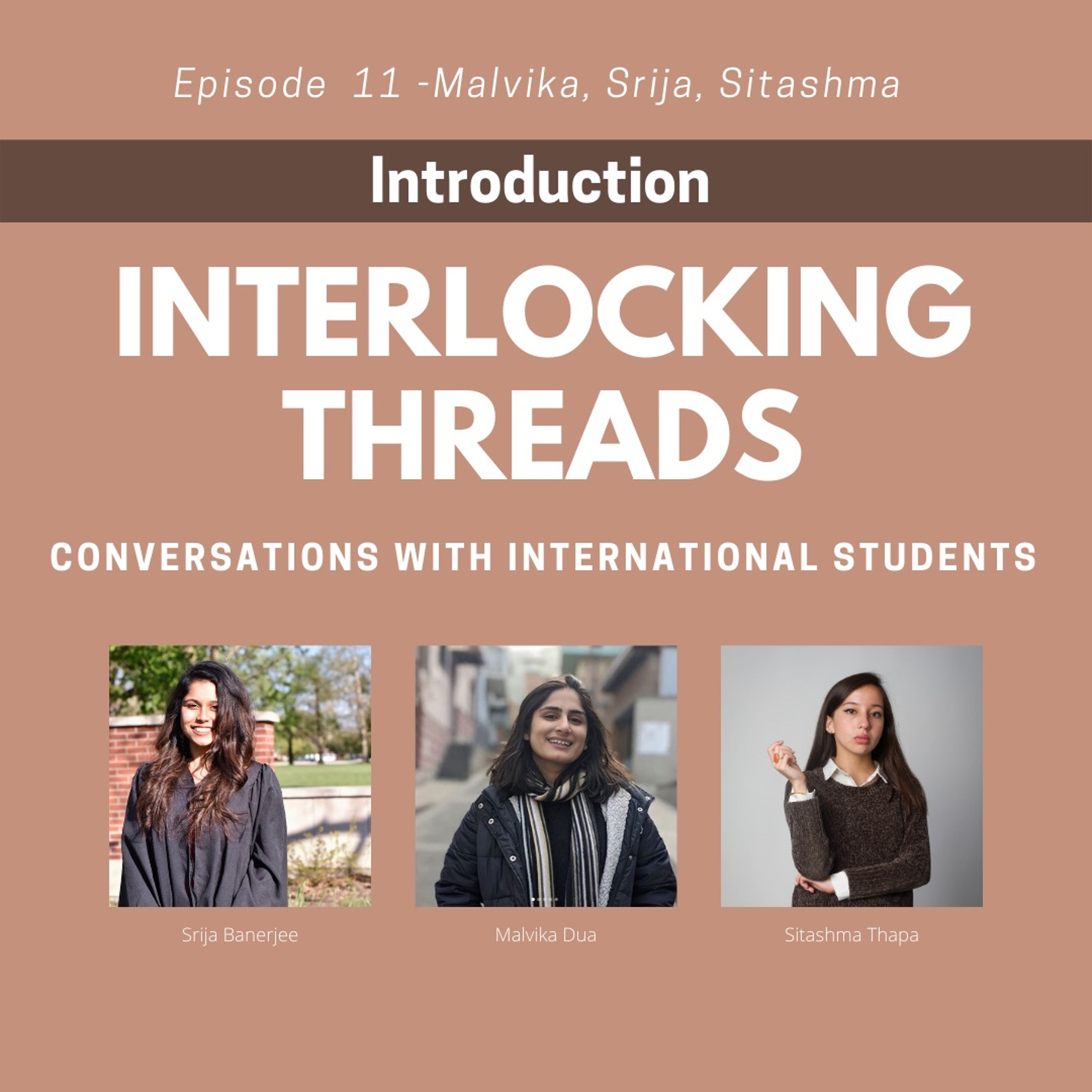 Interlocking Threads: Conversations with International Students