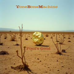Fool's Gold