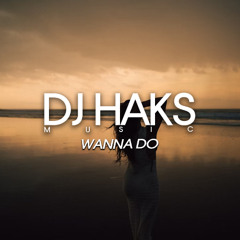 Joe Weller - Wanna Do (DJ Haks Remix)