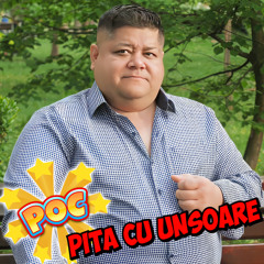Poc pita cu unsoare