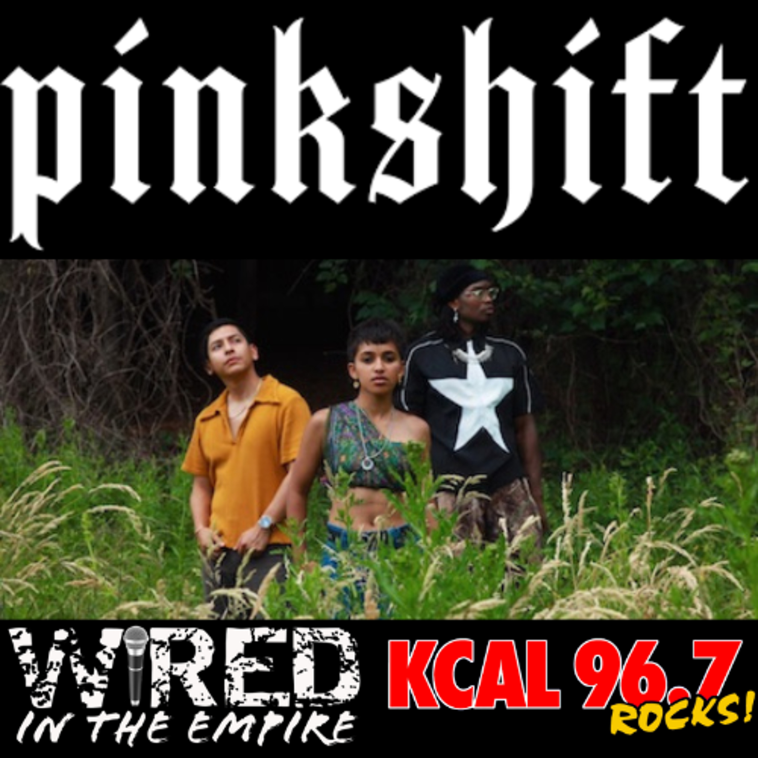 Pinkshift Ashrita Kumar