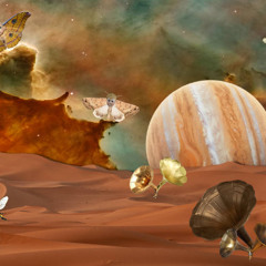 Dudley Strangeways - Pack Rat (Claudio Solis Remix) - Cultrun Cult Records