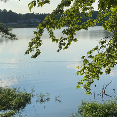 Fortune 170 Bpm (novella X Prim)