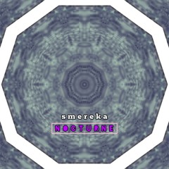 smereka - nocturn [pianino live].wav