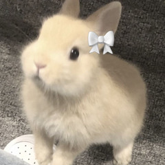 You[=I] - Cover (윤진,민지)