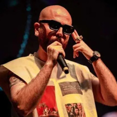 Hiphopologist - Gharibe ( Remix Version )